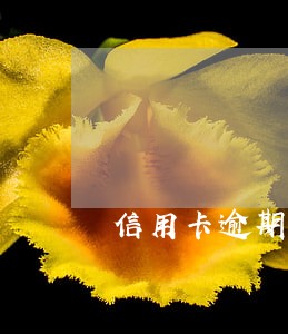信用卡逾期可以去医院 信用卡逾期可以去医院