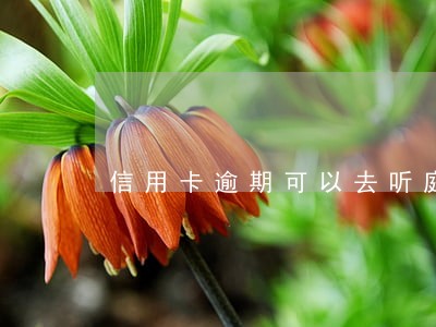 信用卡逾期可以去听庭审吗