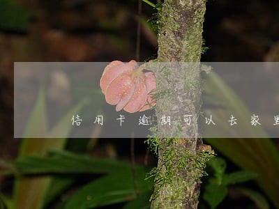 信用卡逾期可以去家里催收吗 信用卡逾期可以去家里催收吗