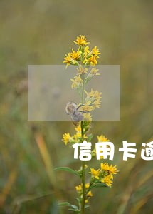 信用卡逾期可以去工厂上班吗 信用卡逾期可以去工厂上班吗