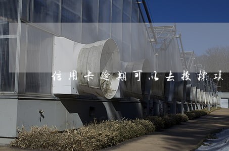 信用卡逾期可以去投标项目吗 信用卡逾期可以去投标项目吗