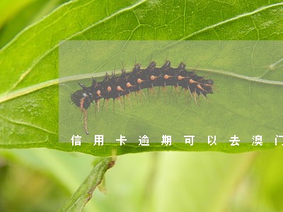 信用卡逾期可以去澳门玩吗 信用卡逾期可以去澳门玩吗