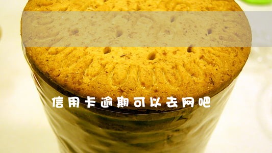 信用卡逾期可以去网吧