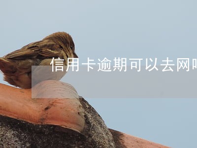 信用卡逾期可以去网吧吗 信用卡逾期可以去网吧吗