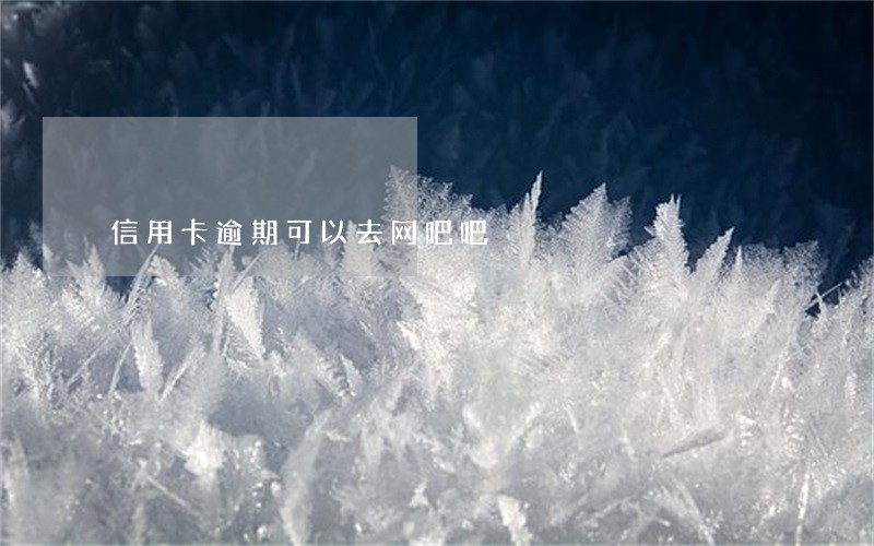 信用卡逾期可以去网吧吧 信用卡逾期可以去网吧吧
