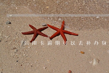 信用卡逾期可以去补办身份证吗 信用卡逾期可以去补办身份证吗