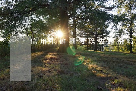 信用卡逾期可以去越南吗 信用卡逾期可以去越南吗