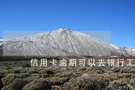 信用卡逾期可以去银行工作吗 信用卡逾期可以去银行工作吗