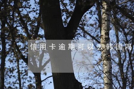 信用卡逾期可以去韩国吗 信用卡逾期可以去韩国吗