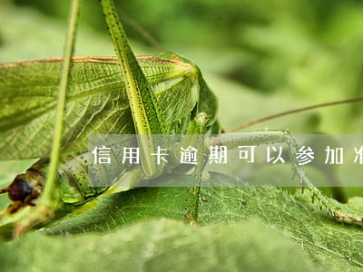 信用卡逾期可以参加准入类考试吗