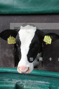 信用卡逾期可以取出来