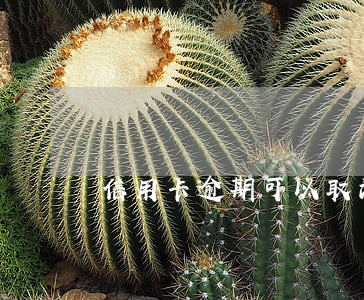 信用卡逾期可以取消不 信用卡逾期可以取消不