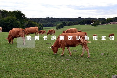 信用卡逾期可以取现金吗