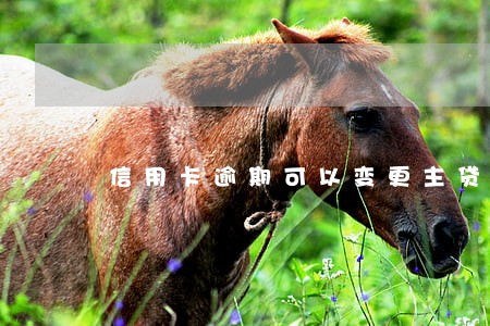 信用卡逾期可以变更主贷人吗 信用卡逾期可以变更主贷人吗