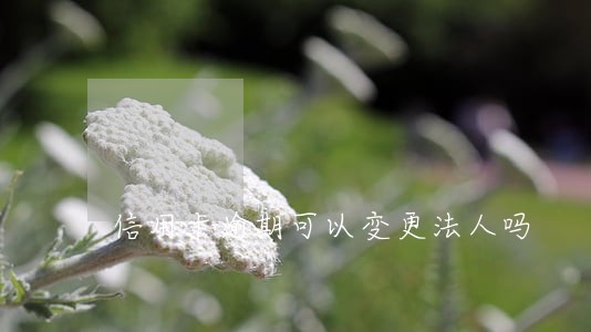 信用卡逾期可以变更法人吗 信用卡逾期可以变更法人吗