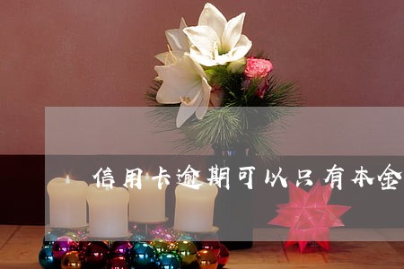 信用卡逾期可以只有本金还吗 信用卡逾期可以只有本金还吗