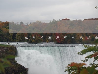 信用卡逾期可以只还最低吗 信用卡逾期可以只还最低吗