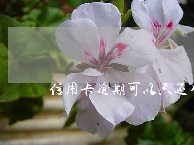 信用卡逾期可以只还本金分期吗 信用卡逾期可以只还本金分期吗