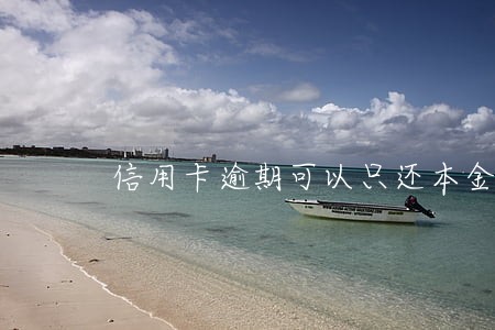 信用卡逾期可以只还本金吗6 信用卡逾期可以只还本金吗6