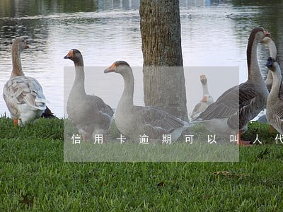 信用卡逾期可以叫人代还 信用卡逾期可以叫人代还