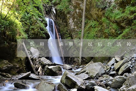 信用卡逾期可以后台洗掉吗