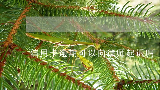 信用卡逾期可以向律师起诉吗
