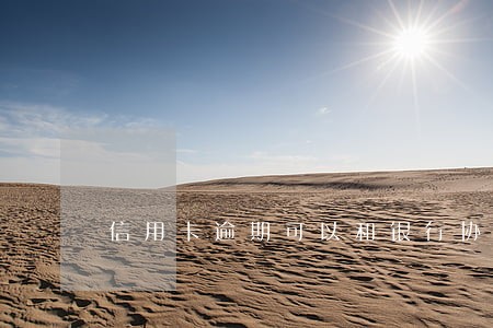信用卡逾期可以和银行协商一起吗 信用卡逾期可以和银行协商一起吗
