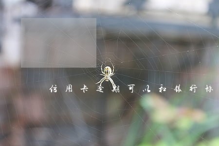 信用卡逾期可以和银行协商分期