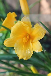 信用卡逾期可以和银行沟通分期吗