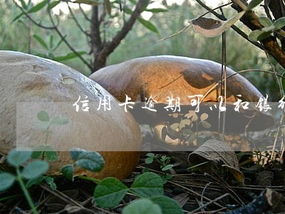信用卡逾期可以和银行沟通嘛 信用卡逾期可以和银行沟通嘛