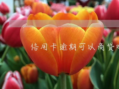 信用卡逾期可以商贷吗 信用卡逾期可以商贷吗