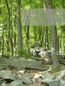 信用卡逾期可以商量分期吗