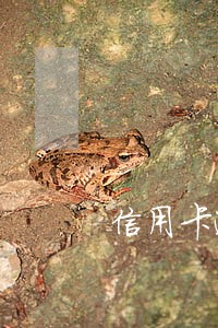 信用卡逾期可以商量嘛 信用卡逾期可以商量嘛