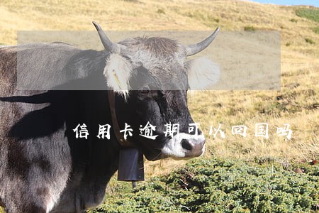 信用卡逾期可以回国吗 信用卡逾期可以回国吗