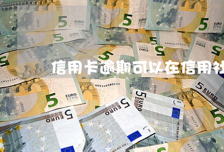 信用卡逾期可以在信用社贷款吗 信用卡逾期可以在信用社贷款吗