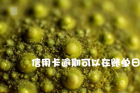 信用卡逾期可以在账单日前还清吗