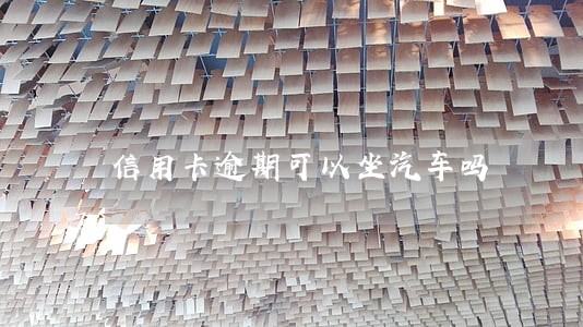 信用卡逾期可以坐汽车吗
