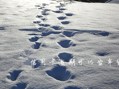信用卡逾期可以坐车贷吗