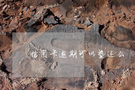 信用卡逾期可以垫还么 信用卡逾期可以垫还么