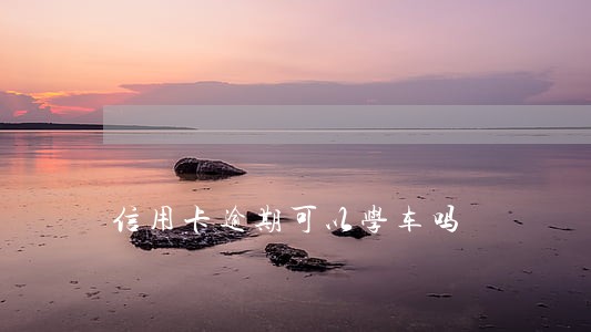 信用卡逾期可以学车吗