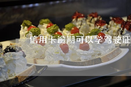 信用卡逾期可以学驾驶证吗 信用卡逾期可以学驾驶证吗