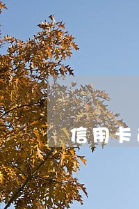 信用卡逾期可以定机票 信用卡逾期可以定机票