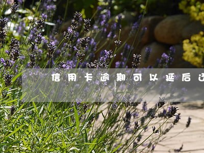 信用卡逾期可以延后还款吗