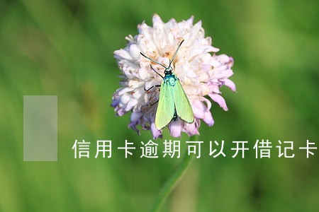 信用卡逾期可以开借记卡吗 信用卡逾期可以开借记卡吗