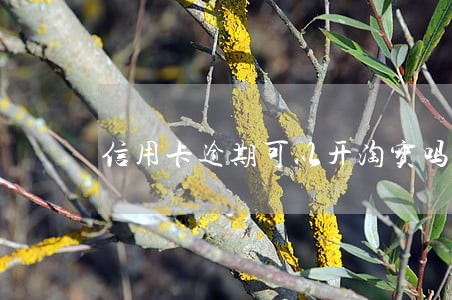 信用卡逾期可以开淘宝吗 信用卡逾期可以开淘宝吗