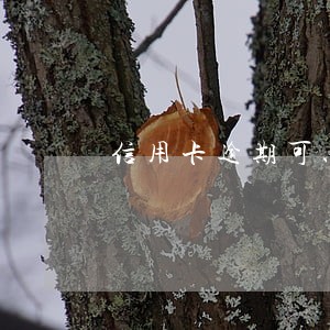 信用卡逾期可以开淘宝店吗 信用卡逾期可以开淘宝店吗