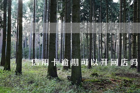 信用卡逾期可以开网店吗 信用卡逾期可以开网店吗
