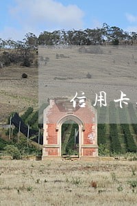 信用卡逾期可以开车吗 信用卡逾期可以开车吗