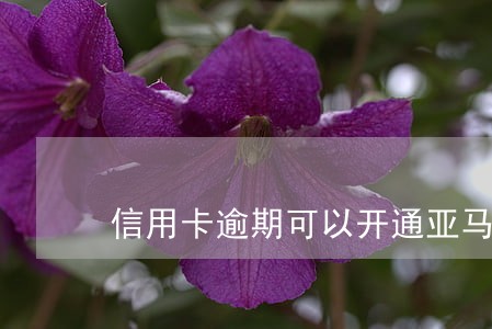 信用卡逾期可以开通亚马逊么 信用卡逾期可以开通亚马逊么