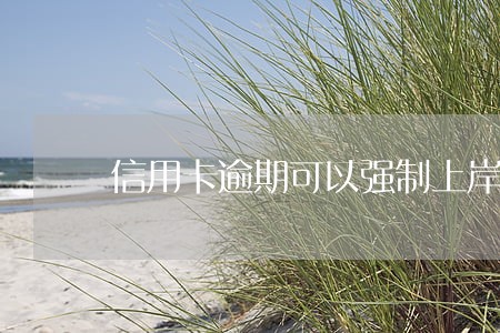 信用卡逾期可以强制上岸吗 信用卡逾期可以强制上岸吗